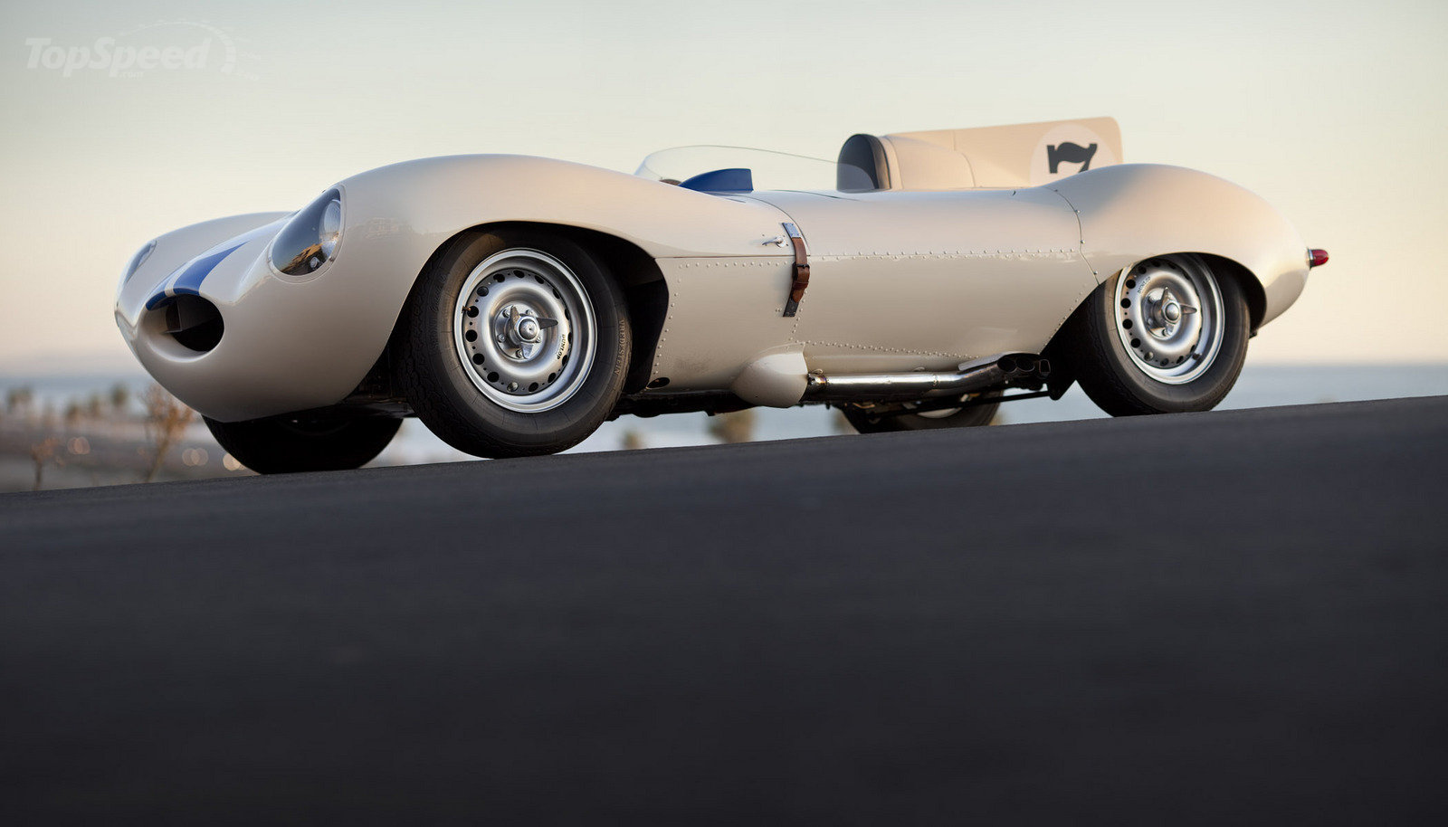 Jaguar D-Type: 12 фото