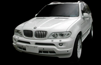 BMW X5 E53: 1 фото