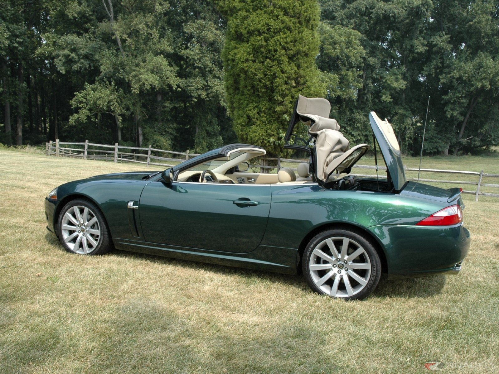 Jaguar XK Convertible: 3 фото